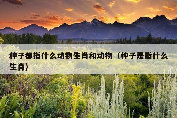 种子都指什么动物生肖和动物（种子是指什么生肖）