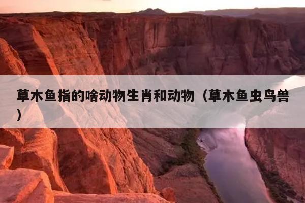 草木鱼指的啥动物生肖和动物（草木鱼虫鸟兽）