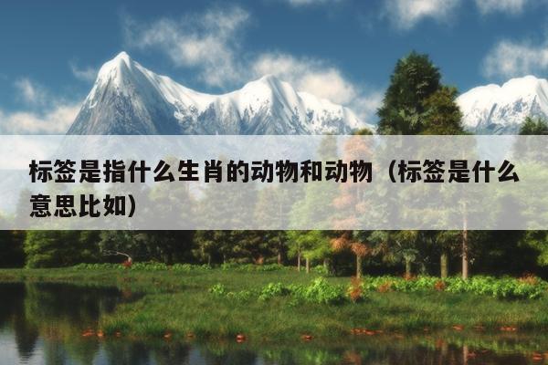 标签是指什么生肖的动物和动物（标签是什么意思比如）