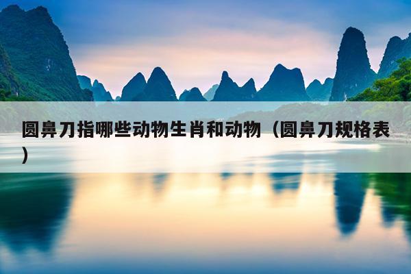 圆鼻刀指哪些动物生肖和动物（圆鼻刀规格表）