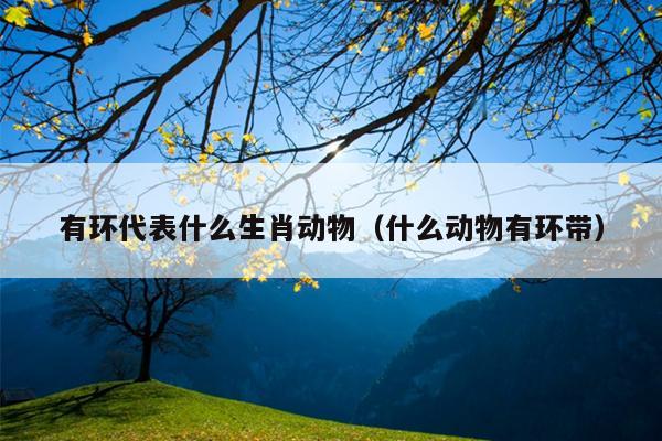 有环代表什么生肖动物（什么动物有环带）