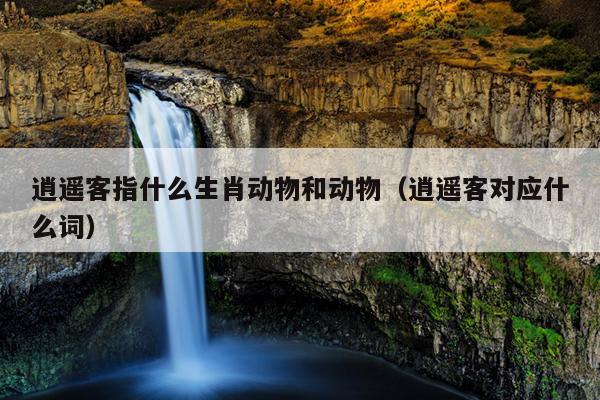 逍遥客指什么生肖动物和动物（逍遥客对应什么词）