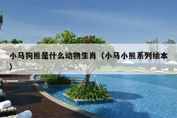 小马狗熊是什么动物生肖（小马小熊系列绘本）