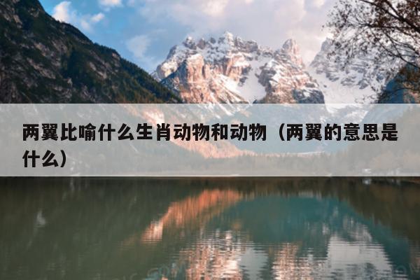 两翼比喻什么生肖动物和动物（两翼的意思是什么）