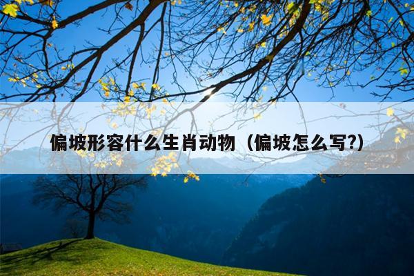 偏坡形容什么生肖动物（偏坡怎么写?）