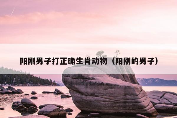 阳刚男子打正确生肖动物（阳刚的男子）