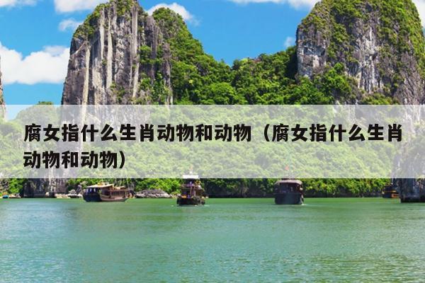 腐女指什么生肖动物和动物（腐女指什么生肖动物和动物）