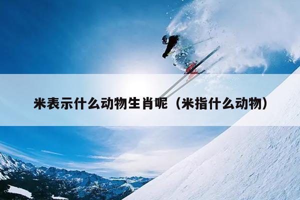 米表示什么动物生肖呢（米指什么动物）