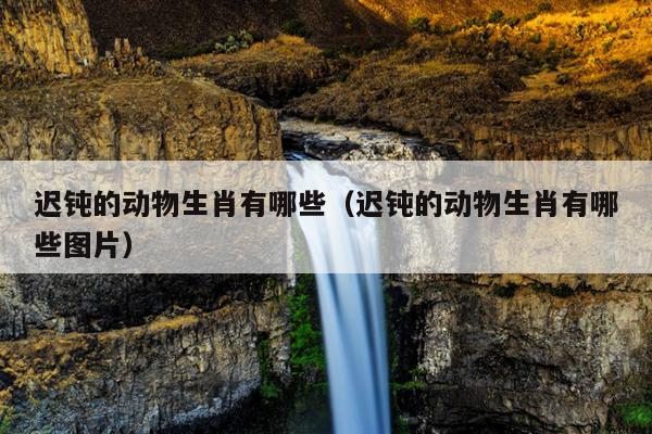 迟钝的动物生肖有哪些（迟钝的动物生肖有哪些图片）