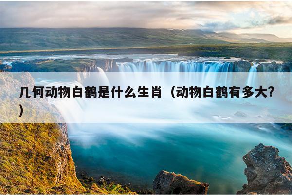 几何动物白鹤是什么生肖（动物白鹤有多大?）