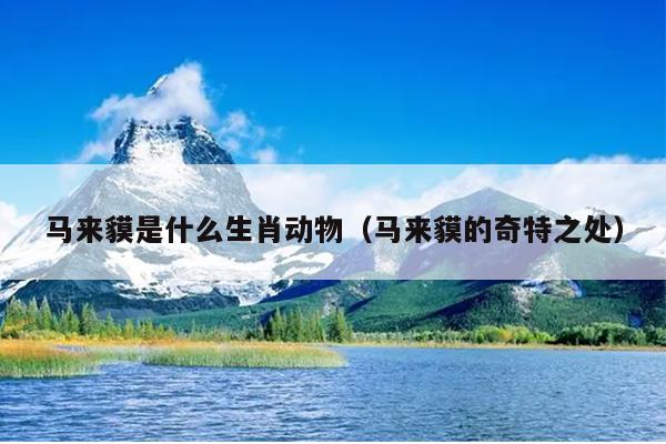 马来貘是什么生肖动物（马来貘的奇特之处）