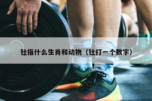 钍指什么生肖和动物（钍打一个数字）