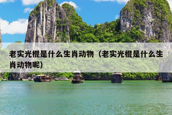 老实光棍是什么生肖动物（老实光棍是什么生肖动物呢）