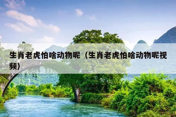 生肖老虎怕啥动物呢（生肖老虎怕啥动物呢视频）