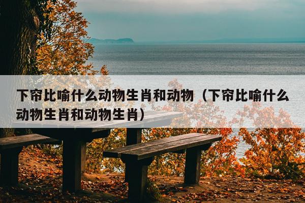 下帘比喻什么动物生肖和动物（下帘比喻什么动物生肖和动物生肖）