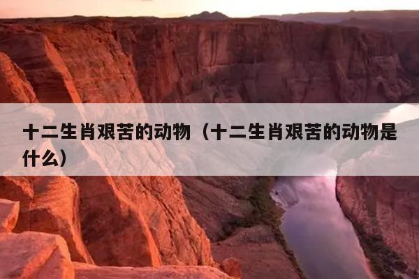 十二生肖艰苦的动物（十二生肖艰苦的动物是什么）