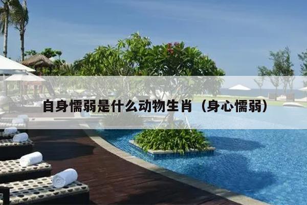 自身懦弱是什么动物生肖（身心懦弱）
