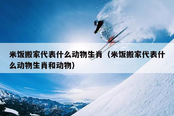 米饭搬家代表什么动物生肖（米饭搬家代表什么动物生肖和动物）