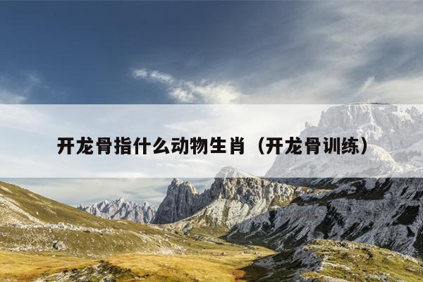 开龙骨指什么动物生肖（开龙骨训练）