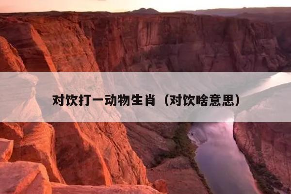 对饮打一动物生肖（对饮啥意思）