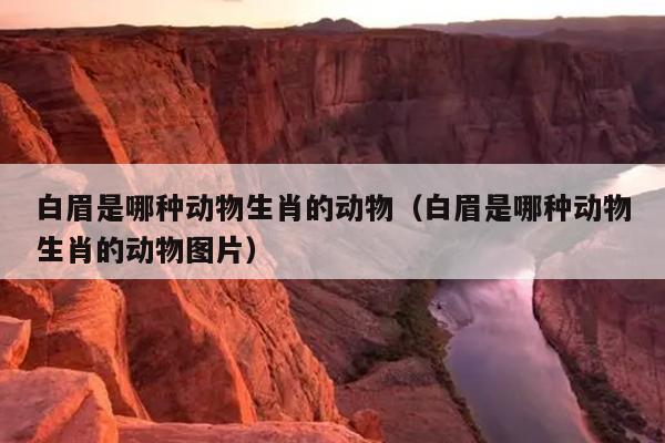 白眉是哪种动物生肖的动物（白眉是哪种动物生肖的动物图片）