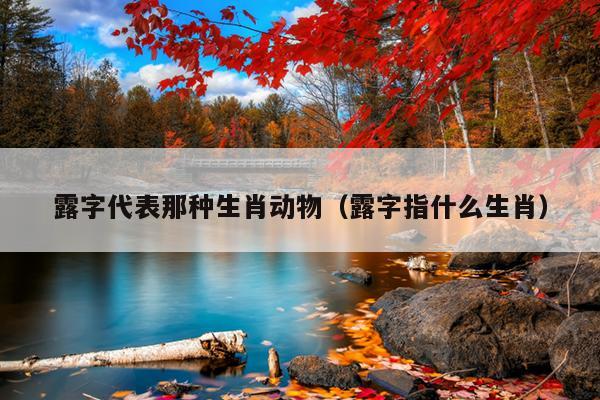 露字代表那种生肖动物（露字指什么生肖）
