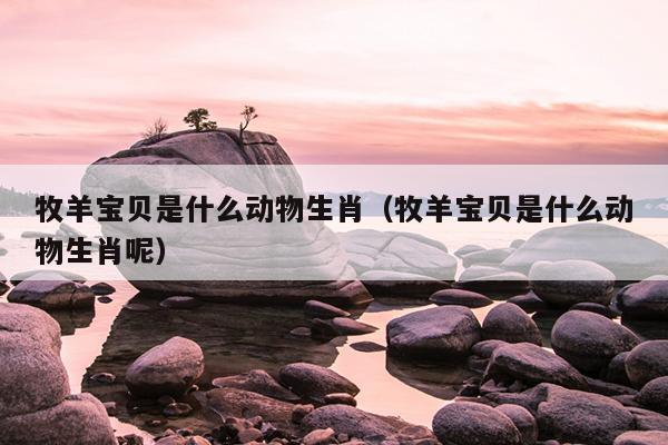 牧羊宝贝是什么动物生肖（牧羊宝贝是什么动物生肖呢）