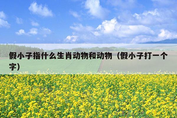 假小子指什么生肖动物和动物（假小子打一个字）