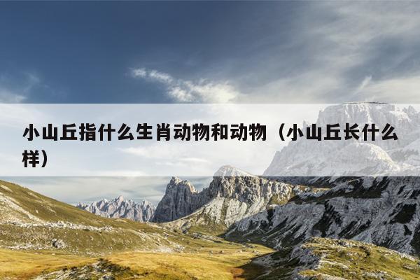 小山丘指什么生肖动物和动物（小山丘长什么样）