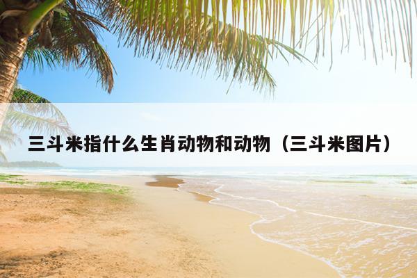 三斗米指什么生肖动物和动物（三斗米图片）