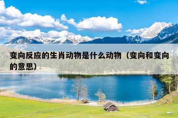 变向反应的生肖动物是什么动物（变向和变向的意思）