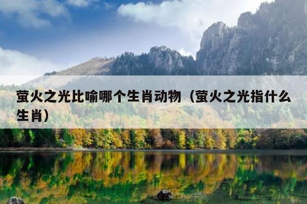 萤火之光比喻哪个生肖动物（萤火之光指什么生肖）