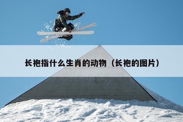 长袍指什么生肖的动物（长袍的图片）