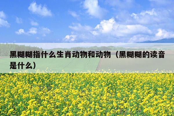 黑糊糊指什么生肖动物和动物（黑糊糊的读音是什么）