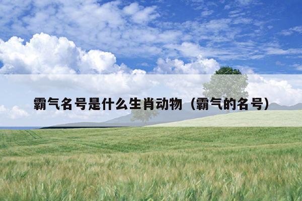 霸气名号是什么生肖动物（霸气的名号）