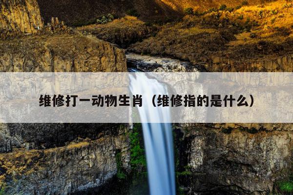 维修打一动物生肖（维修指的是什么）