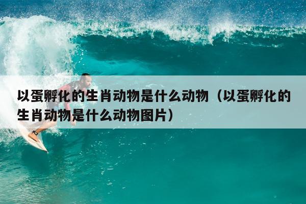 以蛋孵化的生肖动物是什么动物（以蛋孵化的生肖动物是什么动物图片）