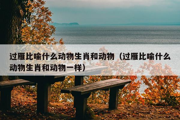 过雁比喻什么动物生肖和动物（过雁比喻什么动物生肖和动物一样）