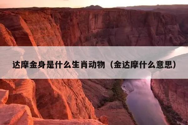 达摩金身是什么生肖动物（金达摩什么意思）