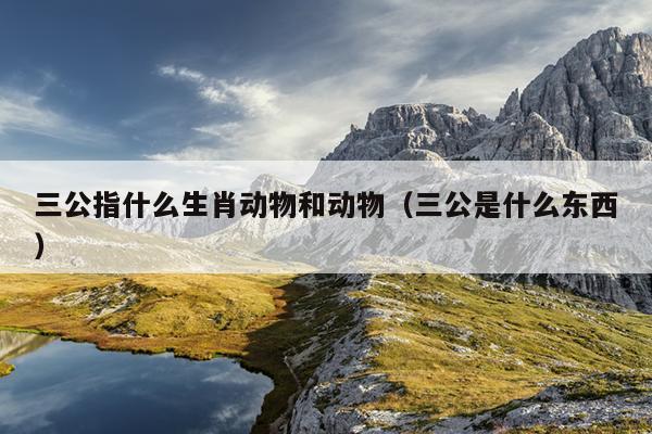 三公指什么生肖动物和动物（三公是什么东西）