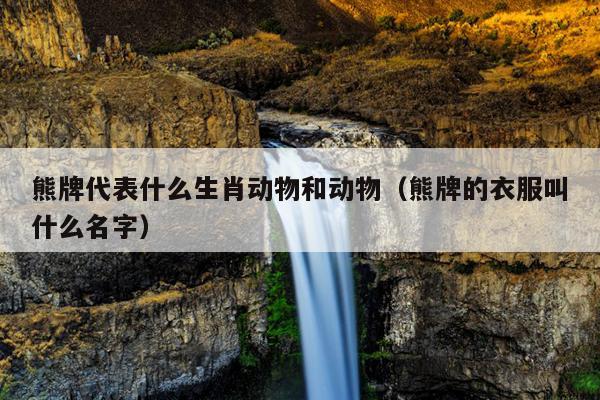 熊牌代表什么生肖动物和动物（熊牌的衣服叫什么名字）