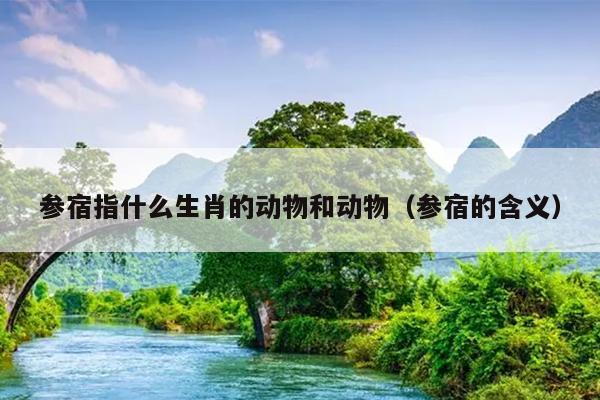 参宿指什么生肖的动物和动物（参宿的含义）