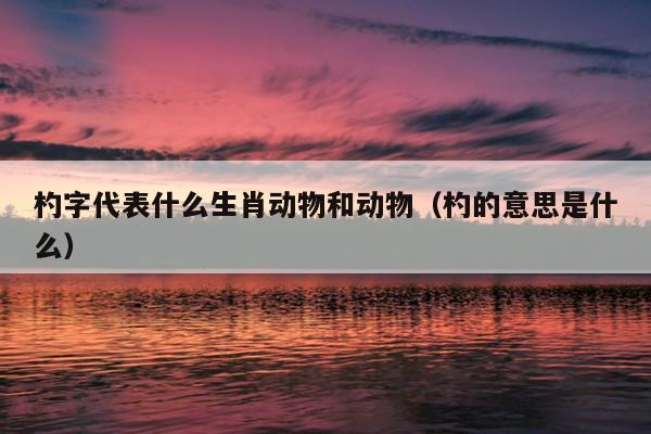 杓字代表什么生肖动物和动物（杓的意思是什么）