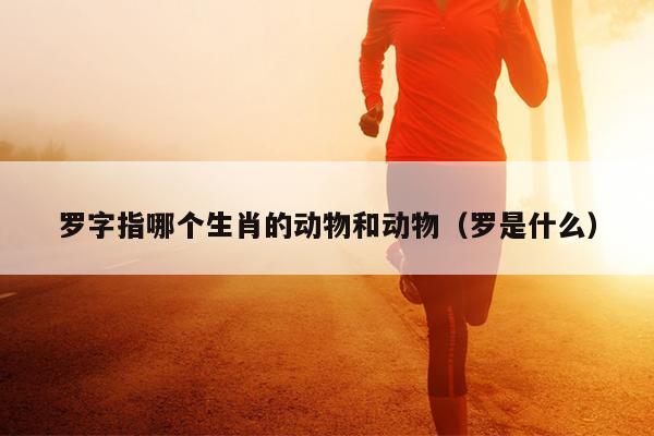 罗字指哪个生肖的动物和动物（罗是什么）