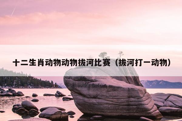 十二生肖动物动物拔河比赛（拔河打一动物）