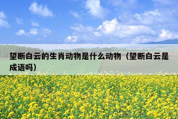 望断白云的生肖动物是什么动物（望断白云是成语吗）