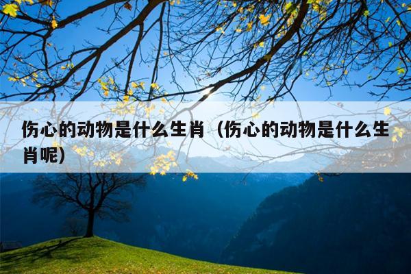伤心的动物是什么生肖（伤心的动物是什么生肖呢）