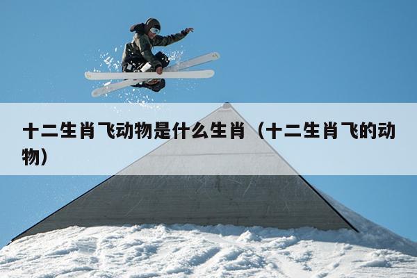 十二生肖飞动物是什么生肖（十二生肖飞的动物）