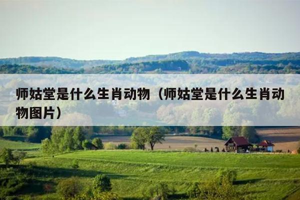 师姑堂是什么生肖动物（师姑堂是什么生肖动物图片）