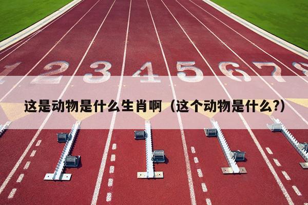这是动物是什么生肖啊（这个动物是什么?）